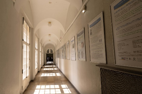 (C) Hiroshima-Nagasaki-Projekt Universität Bonn